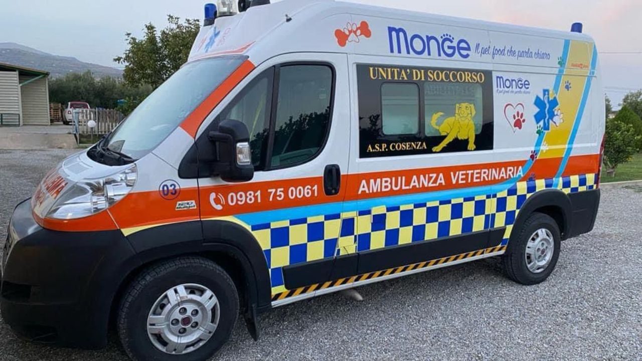 ambulanza veterinaria